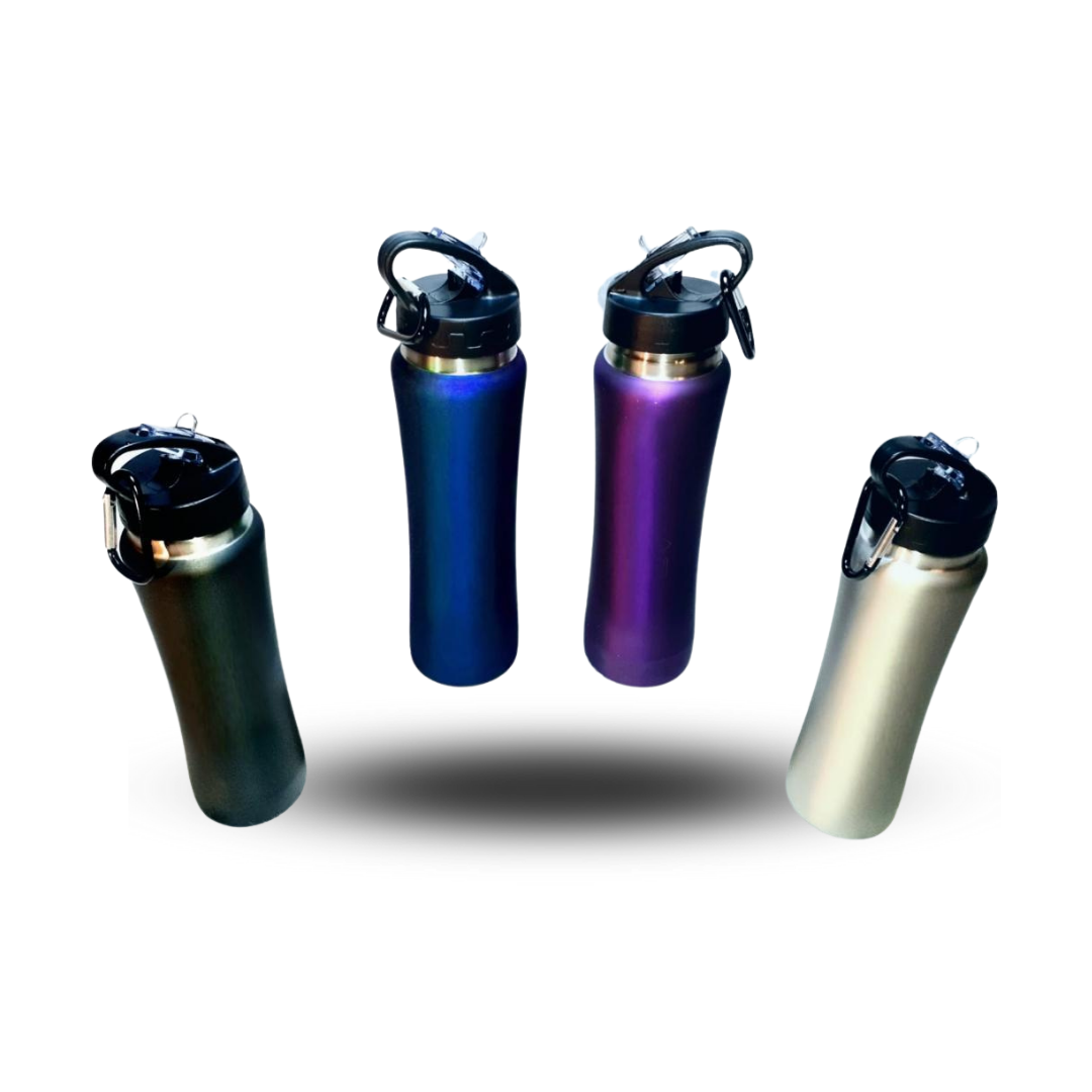 Stainless Steel Water Bottle